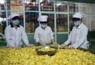 Bí mật đằng sau công nghệ sấy khô nông sản 