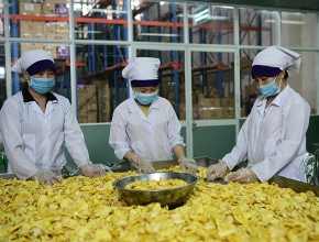 Bí mật đằng sau công nghệ sấy khô nông sản 